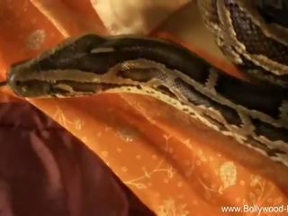Bollywood nus: bonita filha provocação com serpente bollywood estilo